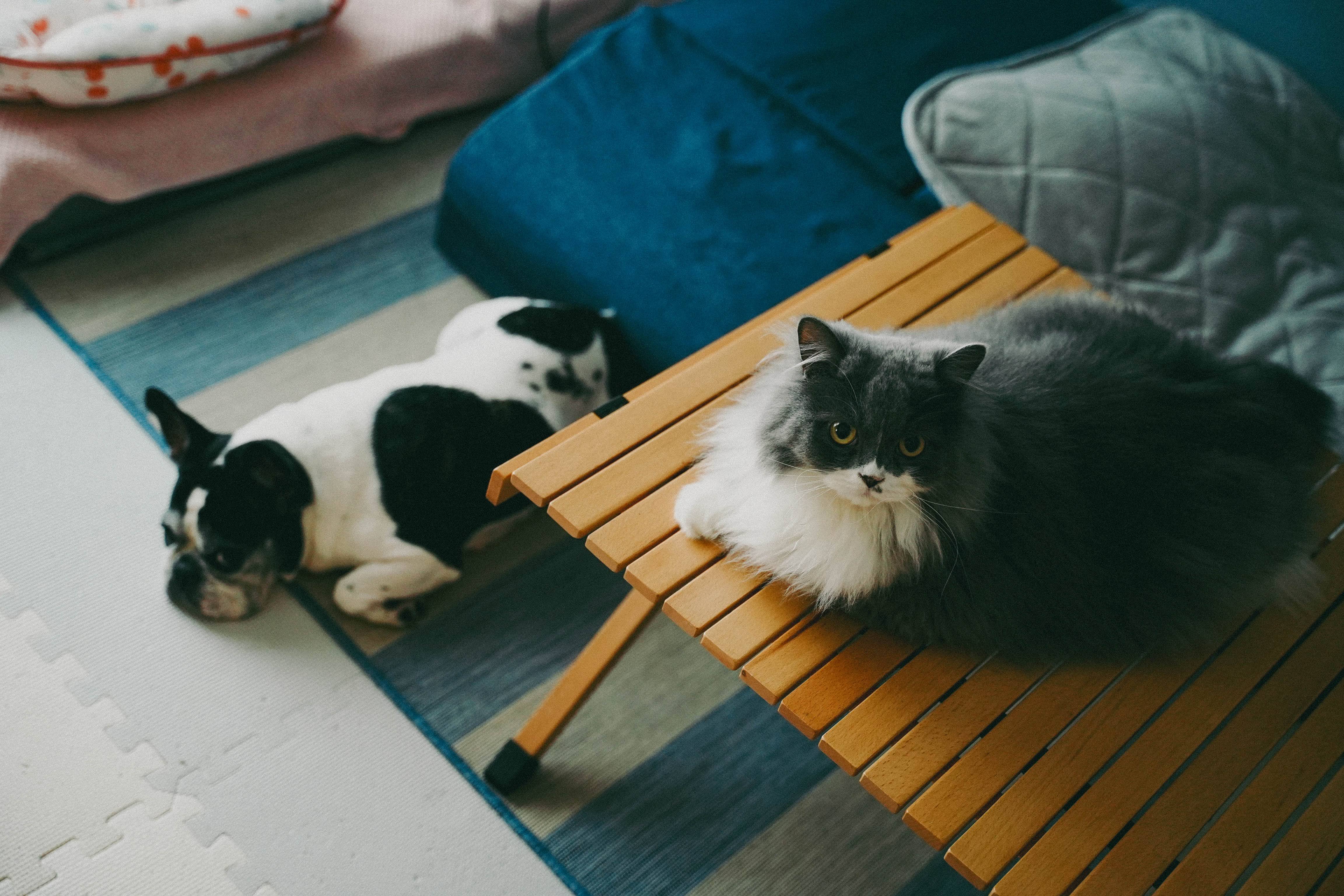 同じ部屋で、それぞれの時間
